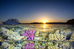 The Red Sea in Egypt holds a lot of nice views, above and... by Robert Smits 